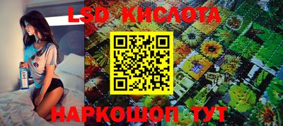 сатива Краснокаменск