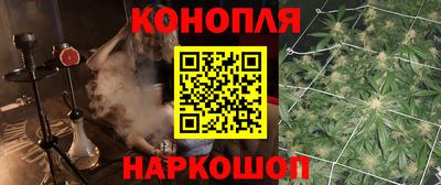 сатива Краснокаменск