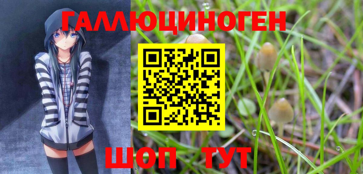 Галлюциногенные грибы Magic Shrooms Корсаков