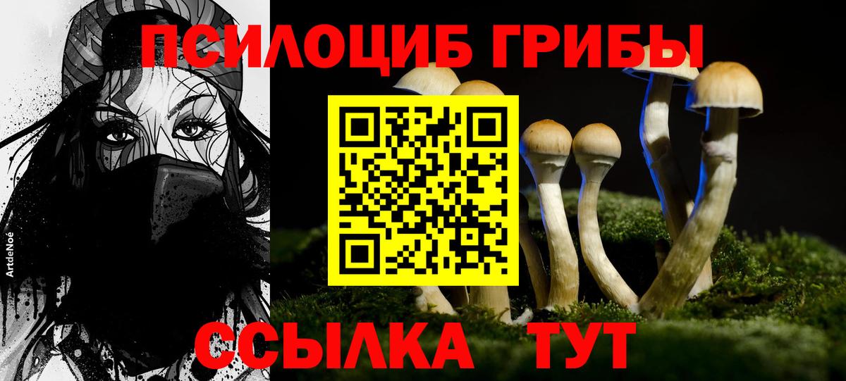 Корсаков  Галлюциногенные грибы Psilocybe  Вход с VPN 